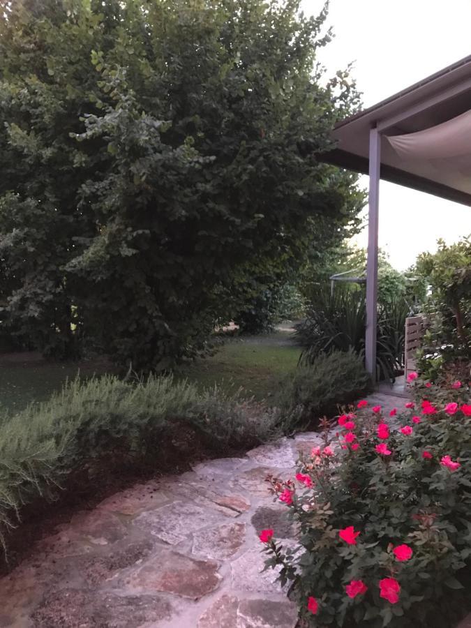 Ca' Borgo Delle Rane Hotel Pernumia Exterior photo